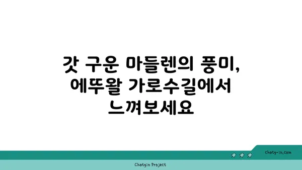 동대문구 마들렌의 디저트 맛집 에뚜왈 가로수길