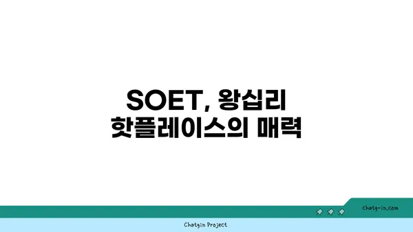 왕십리 술집 핫플레이스 SOET의 분위기 있는 술집