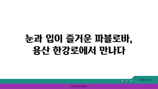 용산구 한강로의 호주식 파블로바 맛집 탐방