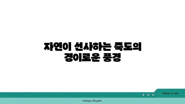 죽도의 매력을 발견하세요: 그림 같은 해변과 아름다운 풍경