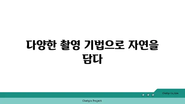 울릉도의 자연 경관 사진 촬영 가이드: 최고의 장면 캡처하기