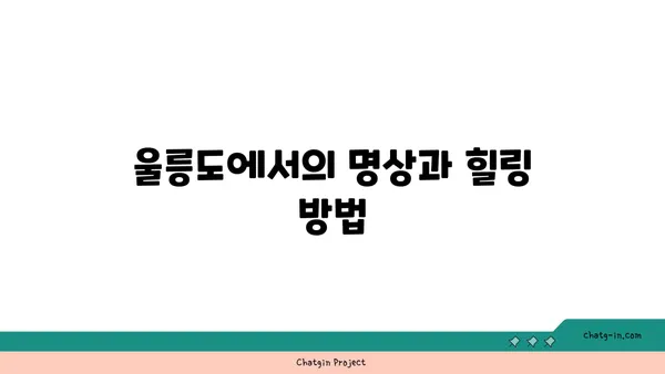 울릉도의 고요한 시간: 자연과 평안으로 둘러싸인 휴가