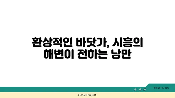 시흥, 한국이 맞나? 이국적인 매력이 가득한 5가지 곳