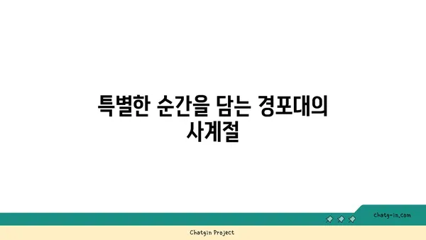 경포도의 사진 명소: 사진가의 천국이 되다