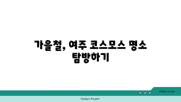 여주 당남리섬 코스모스: 가을의 분홍빛 풍경