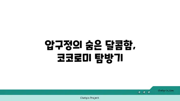 압구정 로데오의 디저트 천국, 코코로미