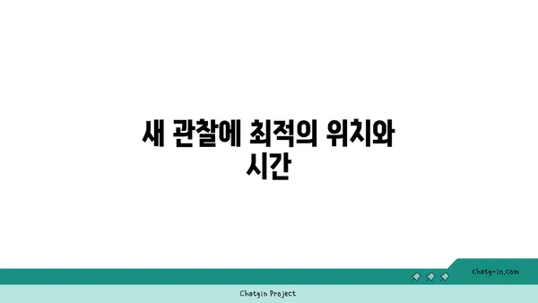 울릉도의 새 관찰 가이드: 다양한 조류 종 관찰