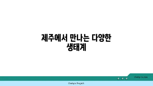 제주의 거문오름 트레킹: 화산섬과 동굴의 신비