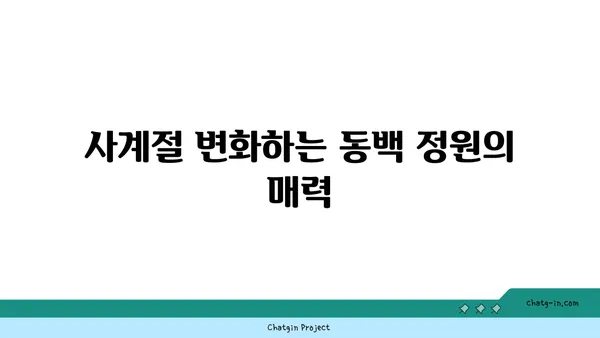 제주도 카멜리아힐에서 동백 정원의 아름다움을 만나보기