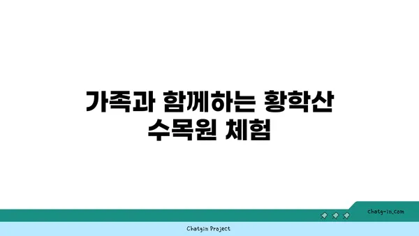 강천섬에서의 즐거움: 황학산 수목원과 금은모래 캠핑장