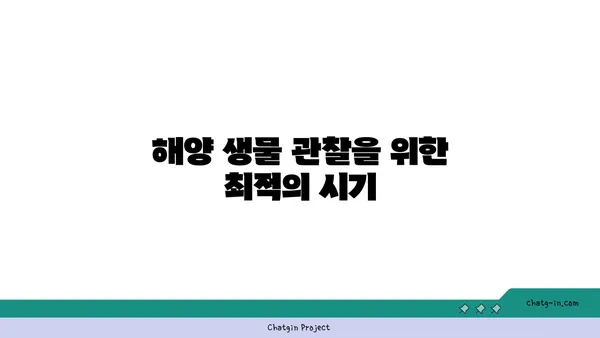 세부 한 달 살기: 카모테스섬의 해양 생물