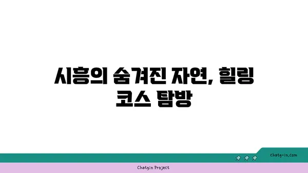 시흥 가볼 만한 곳 5곳: 한국에 있는 것 같지 않은 매력