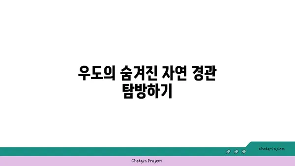 우도: 자연의 아름다움이 빛나는 섬