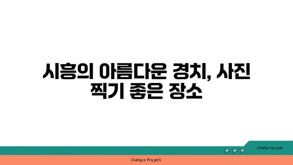 시흥 가볼 만한 곳 5곳: 한국에 있는 것 같지 않은 매력