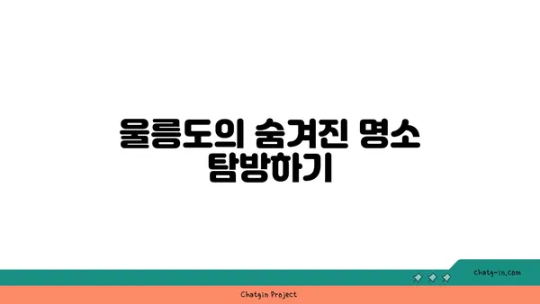 울릉도의 자연 경관 사진 촬영 가이드: 최고의 장면 캡처하기