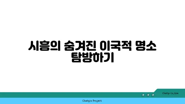 여기 한국 맞아? 이국적인 매력의 시흥 가볼 만한 곳 5