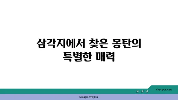 삼각지의 맛있는 오아시스: 몽탄에서 맛있는 순간