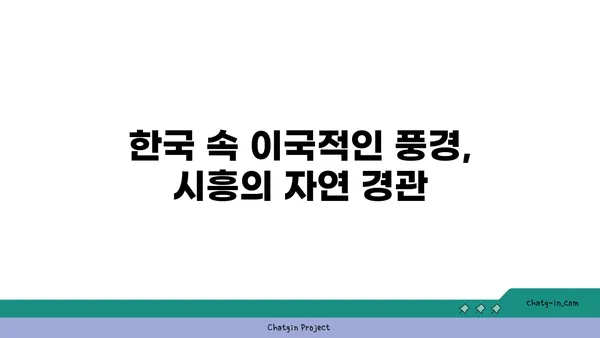 여기 한국 맞아? 이국적인 매력의 시흥 가볼 만한 곳 5