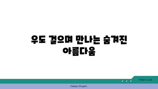 우도에서 감상할 아름다운 자연 경관