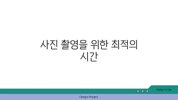 울릉도의 사진 기행: 숨막히는 풍경을 담은 사진 촬영