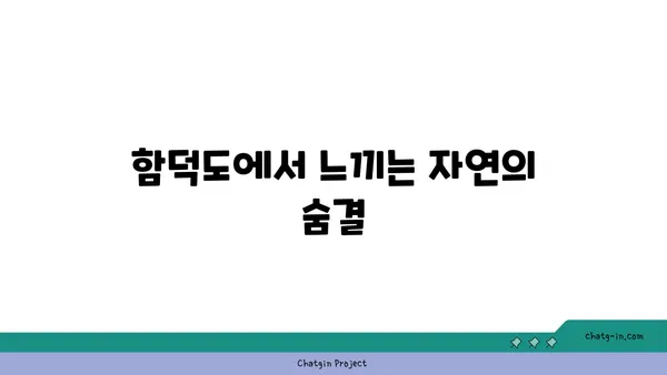 하이킹 애호가의 천국: 함덕도의 도전적인 산책로