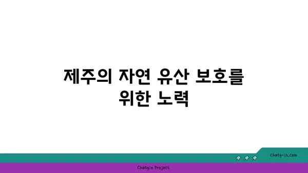 거문오름 트레킹: 제주의 자연 유산과 마법의 동굴