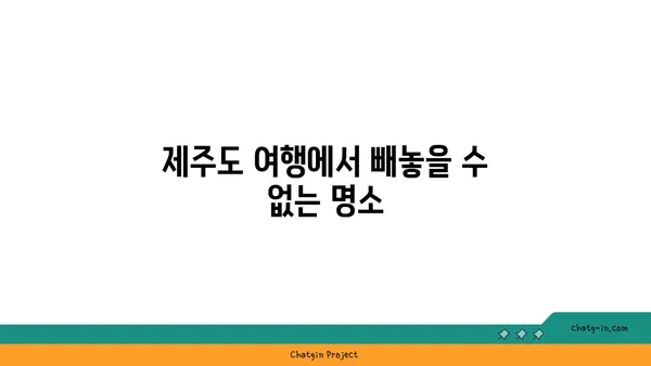 제주도 카멜리아힐: 동백정원을 지닌 아름다운 수목원