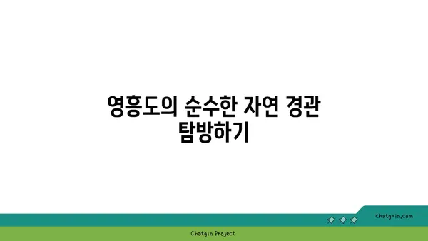 영흥도: 인천의 자연 그대로의 미