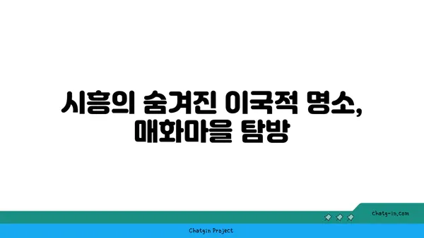 이국적인 매력의 시흥 가볼 만한 곳 5곳