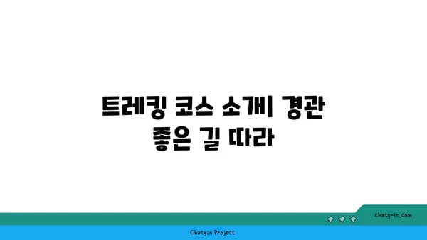 거문오름 트레킹: 제주 자연의 경이로움 탐방기