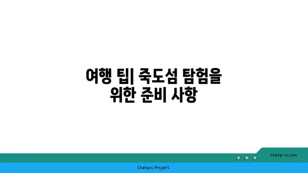 죽도섬 탐험: 홍성의 숨겨진 보물