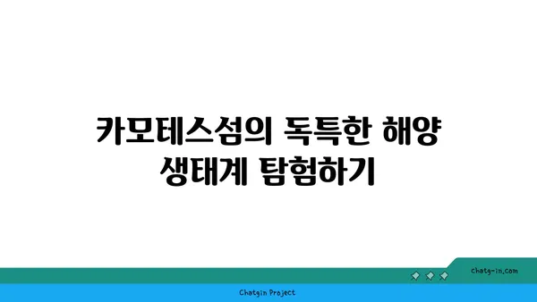 세부 한 달 살기: 카모테스섬의 해양 생물