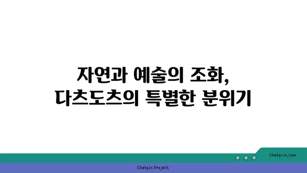 예술과 자연이 만나는 무의도 다츠도츠 카페