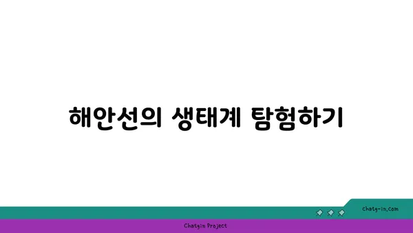 경포도 해안선 탐험: 아름다운 해변과 산책로