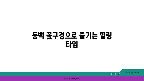 제주도 카멜리아힐에서 동백 정원의 아름다움을 만나보기