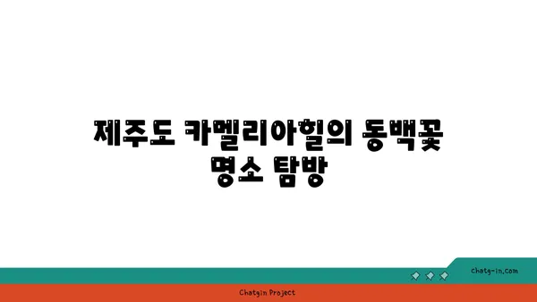 제주도 카멜리아힐에서 동백 정원의 아름다움을 만나보기