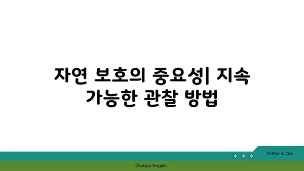 경포도 야생동물 관찰: 자연의 다양성을 만나다