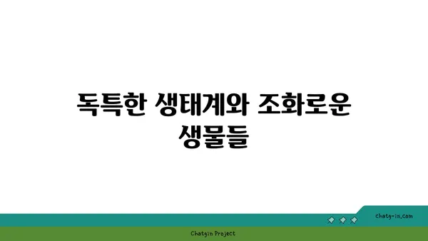 인천 석모도의 아름다운 자연을 만나는 여정