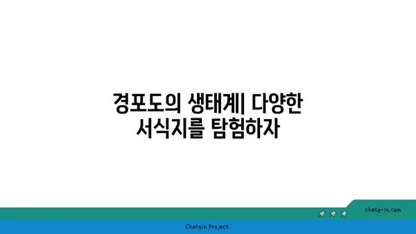 경포도 야생동물 관찰: 자연의 다양성을 만나다