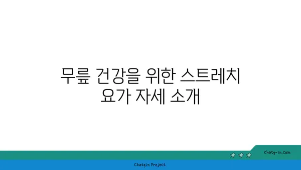 무릎 건강을 위한 요가 도구 활용법 추천