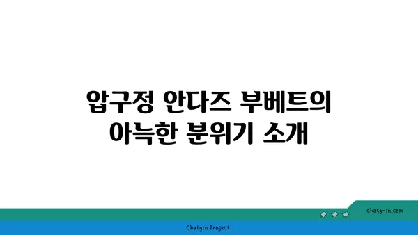 압구정 안다즈 부베트: 실내 데이트의 핫스팟