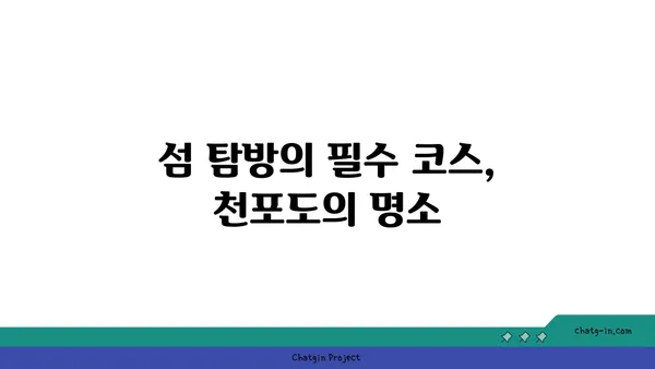 천포도와 함께하는 섬 탐방