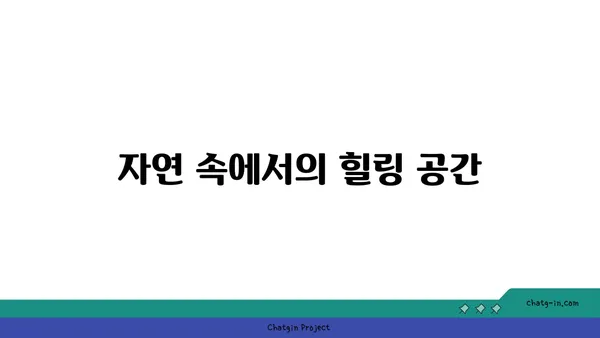 석모도 수목원에서 펼쳐지는 자연의 아름다움