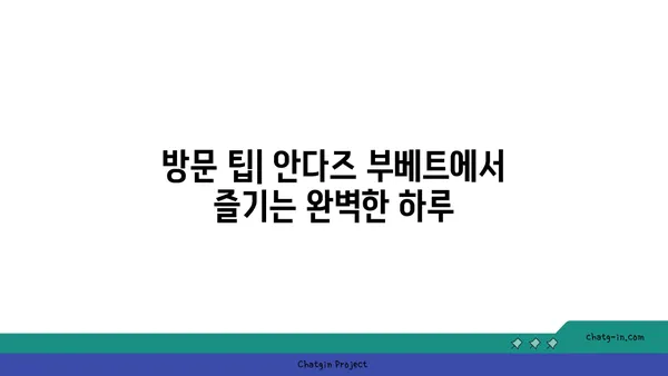 안다즈 부베트 예약: 압구정 핫플레이스