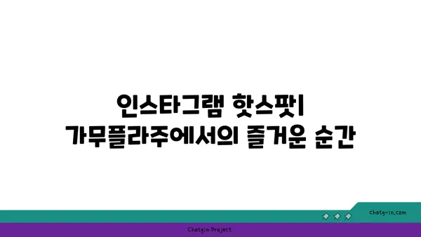 이태원의 가무플라주: 녹사평역 맛집 핫플레이스