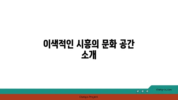 시흥 가볼 만한 곳 5곳: 한국에 있는 것 같지 않은 매력