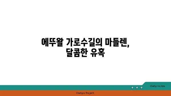 마들렌 핫플레이스: 에뚜왈 가로수길의 맛있는 디저트 발견