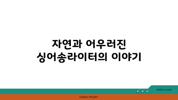 경포도에서 통기타 연주: 보라색 파도에 노래를 싣다