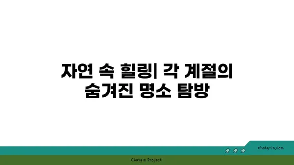 울릉도의 계절마다 볼거리: 봄부터 가을까지의 아름다움