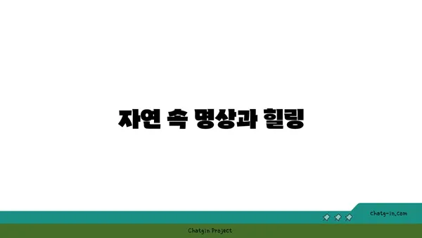 영흥도의 자연 탐험: 통일사와 국사봉정자